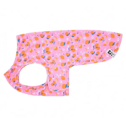 RC Pets - Zephyr - Pet Cooling Vest