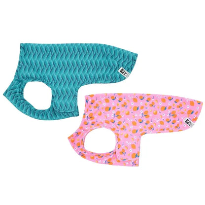 RC Pets - Zephyr - Pet Cooling Vest