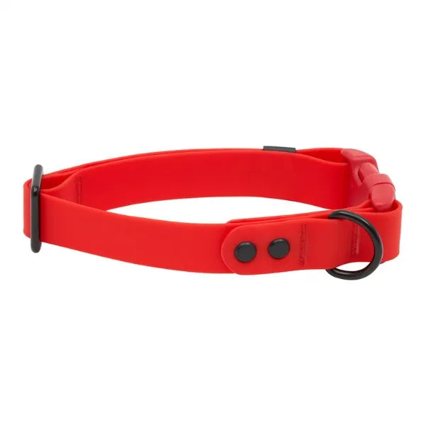 RC Pets - Waterproof Collar