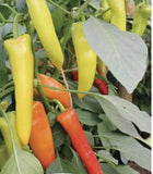 Fothergill's Seeds - Vegetables (2)