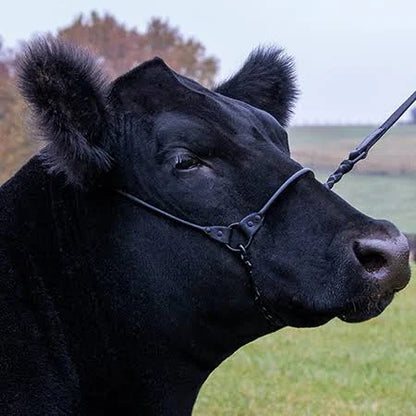 Sullivan - Incognito Show Halter - (Seasonal Order)