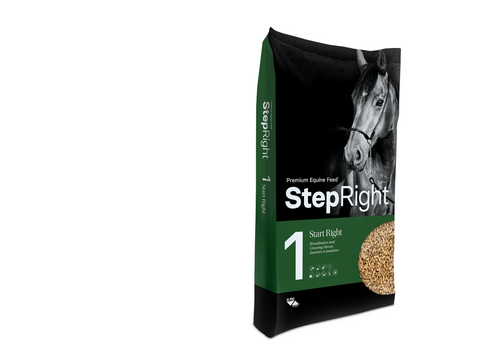 Step 1 - Start Right - Broodmares and Growing Horses - 20 kg NEW