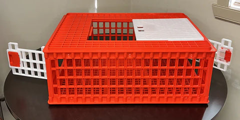 Poultry Crate - Orange