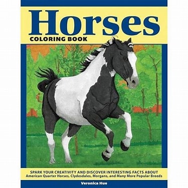 Horses Colouring Book