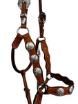 True North - Scalloped Leather Halter with Conchos - Light Oil - Full Size