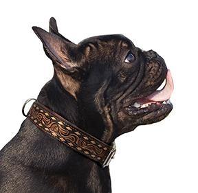 Angel - Leather Dog Collar - Tuscon