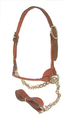 Leather Show Halter - Cattle