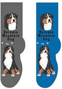 Foozys - Ladies Socks