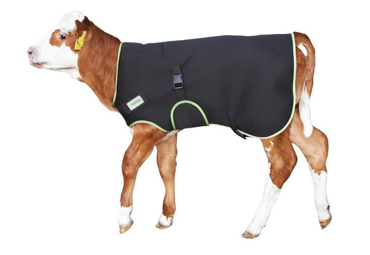 Premium Calf Coat - Black (80cm long)