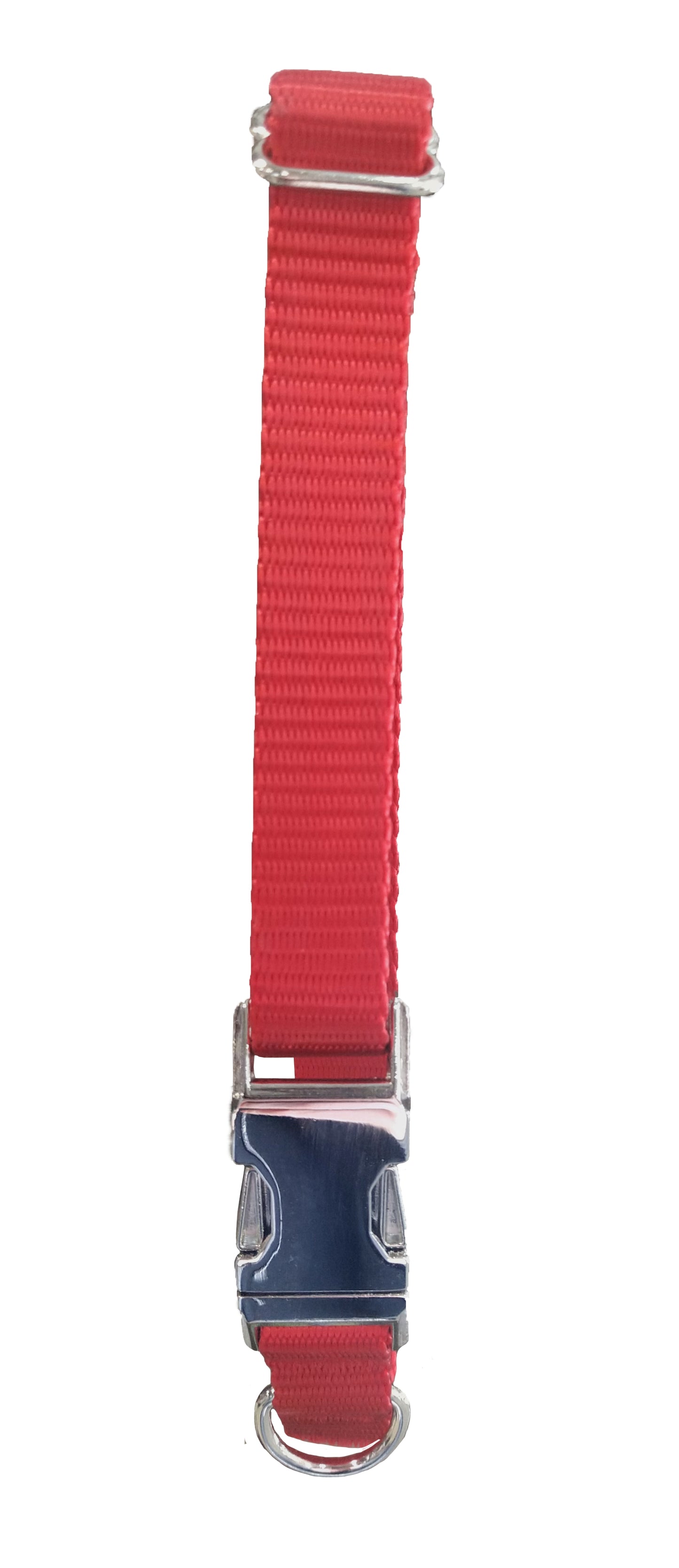 Paw Tracks Pet Gear - Mighty Metal Adjustable Dog Collar