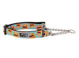 RC-Pets Training Collar
