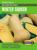 Cornucopia - Squash/Melon/Cucumber Seeds