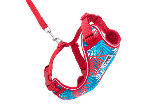 RC Pets - Kitty - Adventure Harness