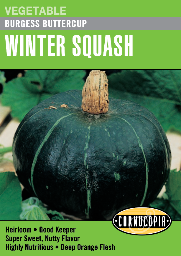 Cornucopia - Squash/Melon/Cucumber Seeds