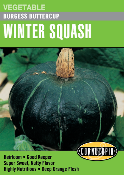 Cornucopia - Squash/Melon/Cucumber Seeds