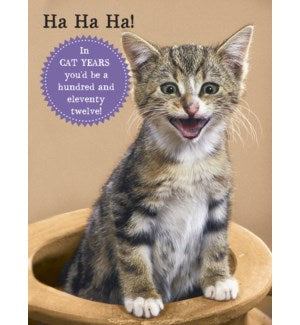 Cards - Leanin' Tree