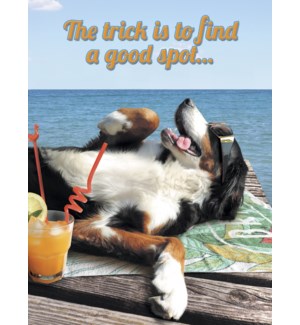 Cards - Leanin' Tree