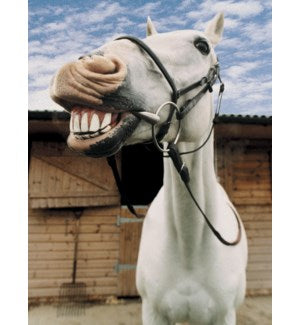 Cards - Leanin' Tree