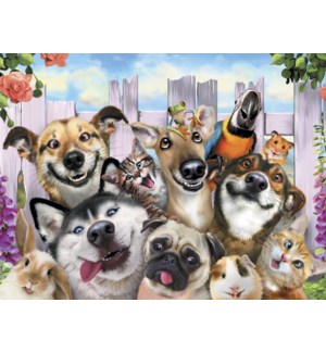 Cards - Leanin' Tree