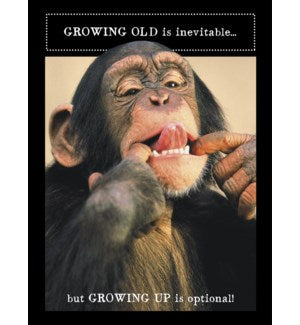 Cards - Leanin' Tree