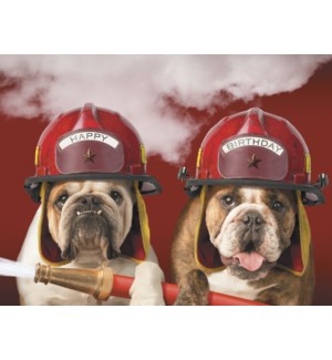 Cards - Leanin' Tree