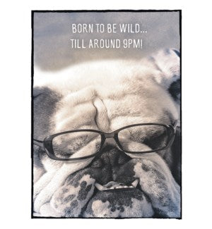 Cards - Leanin' Tree