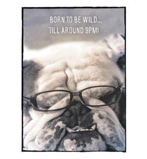 Cards - Leanin' Tree