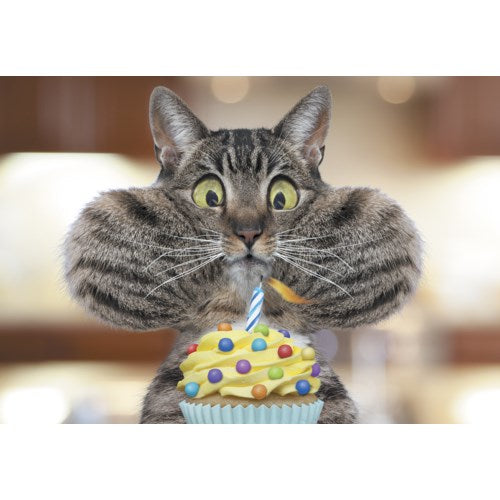 Cards - Leanin' Tree