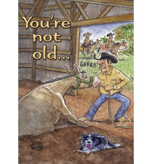 Cards - Leanin' Tree