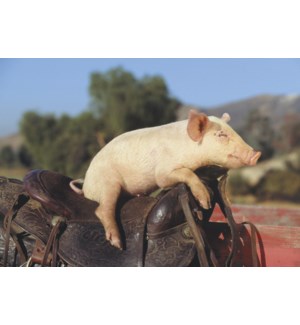 Cards - Leanin' Tree