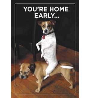 Cards - Leanin' Tree