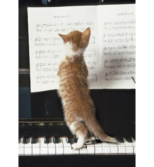 Cards - Leanin' Tree