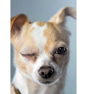 Cards - Leanin' Tree