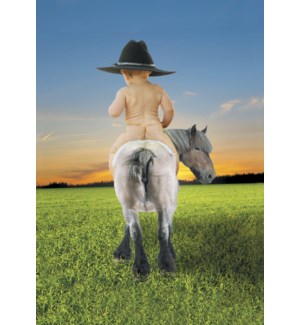 Cards - Leanin' Tree