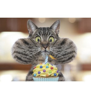 Cards - Leanin' Tree