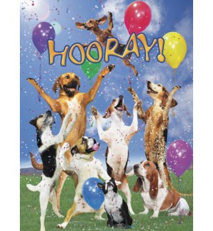 Cards - Leanin' Tree