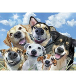 Cards - Leanin' Tree