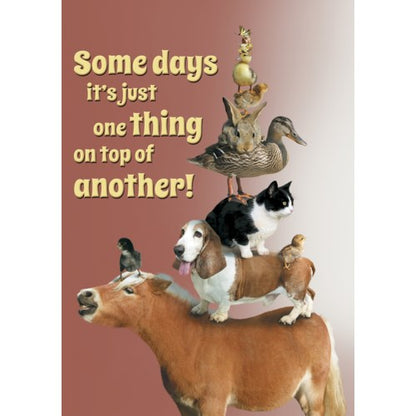 Cards - Leanin' Tree