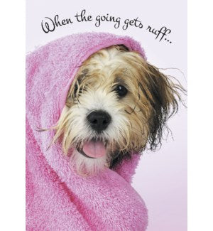 Cards - Leanin' Tree