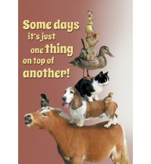 Cards - Leanin' Tree