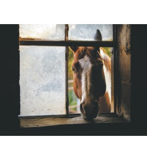 Cards - Leanin' Tree