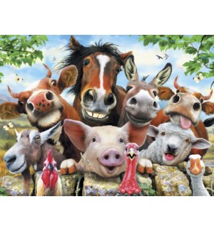 Cards - Leanin' Tree