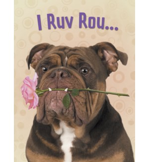 Cards - Leanin' Tree