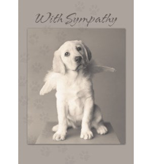 Cards - Leanin' Tree