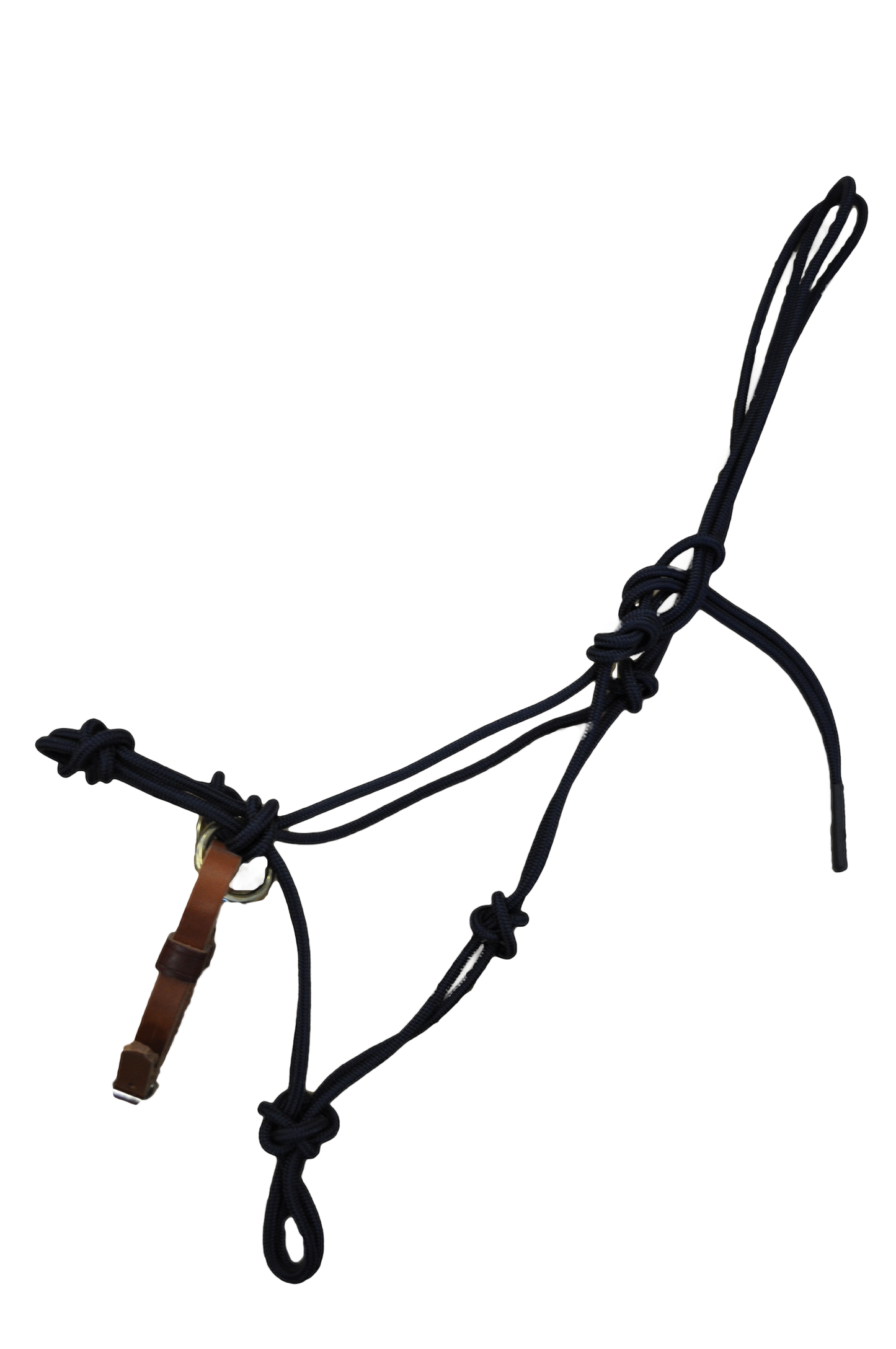 Burwash - Master 4-Knot Side-Pull Halter (Special Order)