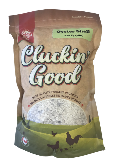 Cluckin' Good - Oyster Shell