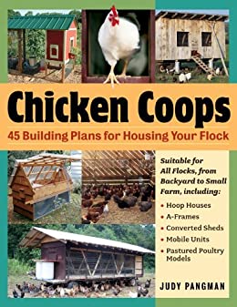 Books - All About Chicken Books