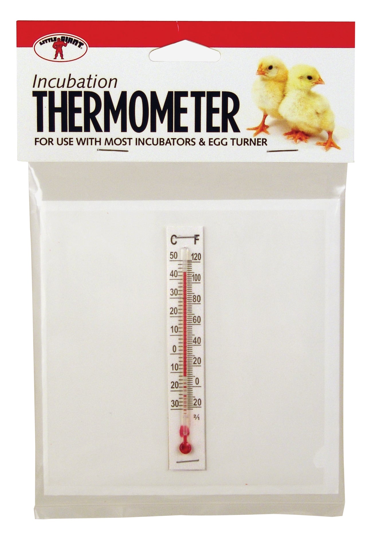Little Giant - Incubator Thermometer  (Brooder)