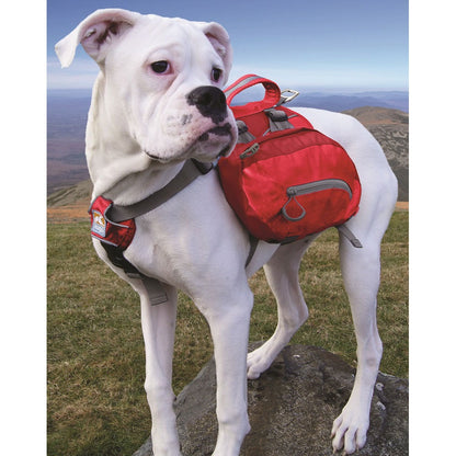 Kurgo - Baxter Backpack