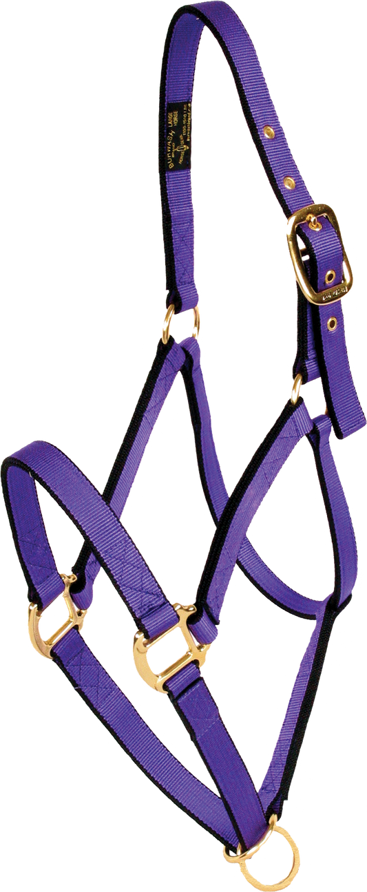 Burwash - Ultimate 6-Ring Web Horse Halter